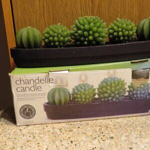 Stokes CACTUS Candle One Piece Vintage (K495)
